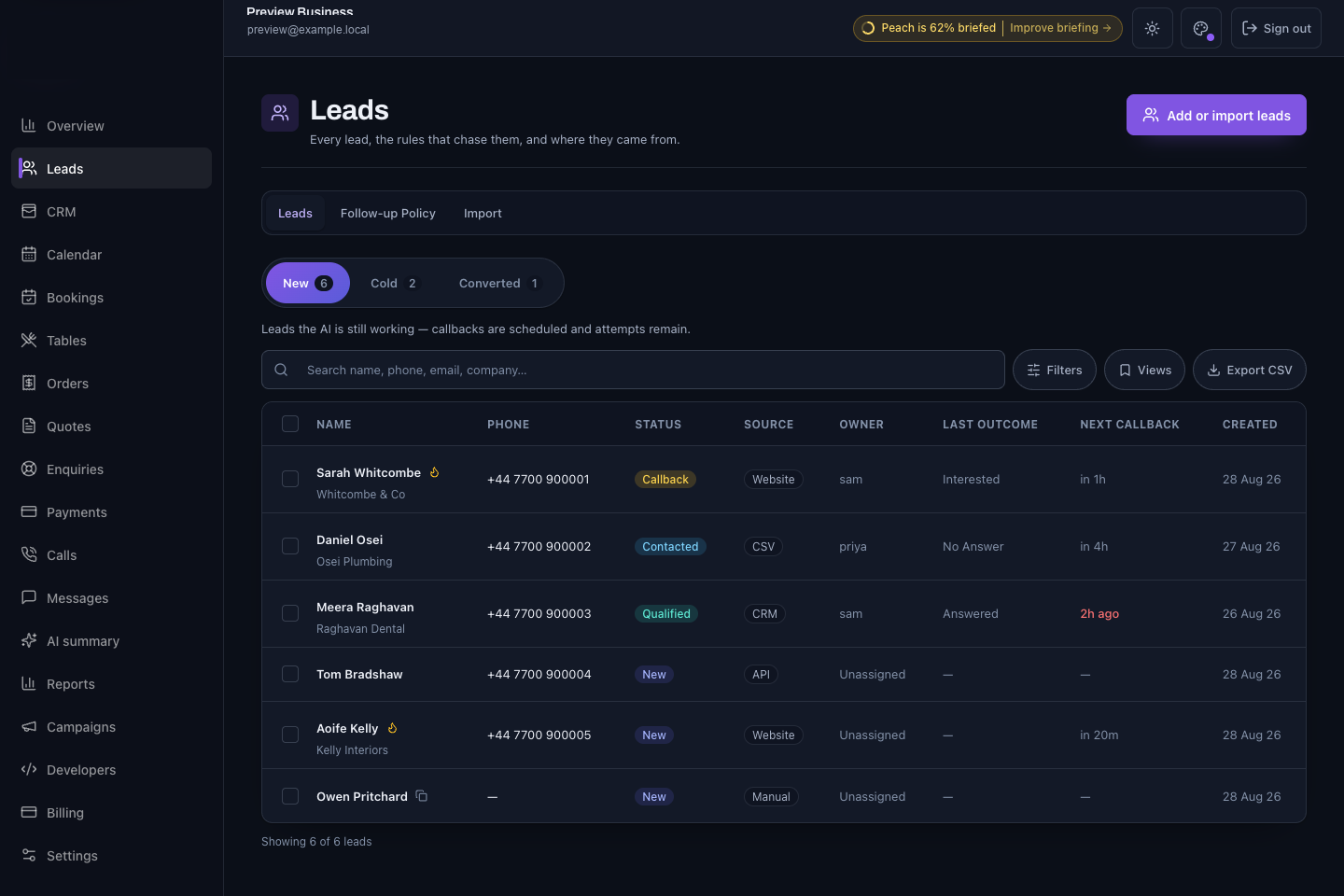 Business Solutions lead pipeline using fictional preview data